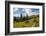 Washington, North Cascades, Slate Pass. Horses and Mules Foraging-Steve Kazlowski-Framed Photographic Print