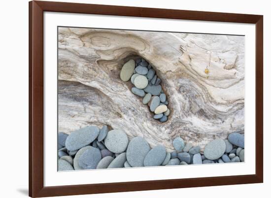 Washington, Olympic National Park. Beach Wood and Pebbles-Jaynes Gallery-Framed Photographic Print