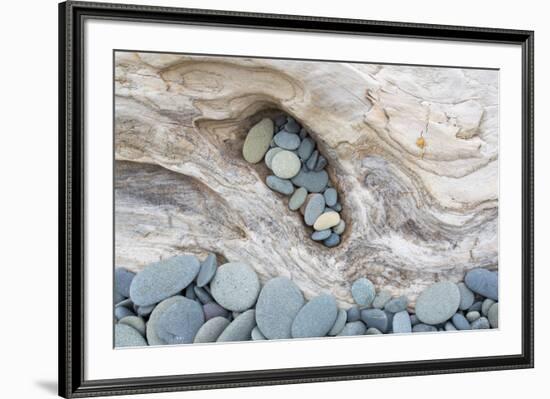 Washington, Olympic National Park. Beach Wood and Pebbles-Jaynes Gallery-Framed Photographic Print