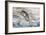 Washington, Olympic National Park. Beach Wood and Pebbles-Jaynes Gallery-Framed Photographic Print