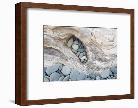 Washington, Olympic National Park. Beach Wood and Pebbles-Jaynes Gallery-Framed Premium Photographic Print