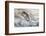 Washington, Olympic National Park. Beach Wood and Pebbles-Jaynes Gallery-Framed Premium Photographic Print