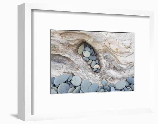 Washington, Olympic National Park. Beach Wood and Pebbles-Jaynes Gallery-Framed Premium Photographic Print