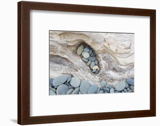 Washington, Olympic National Park. Beach Wood and Pebbles-Jaynes Gallery-Framed Premium Photographic Print