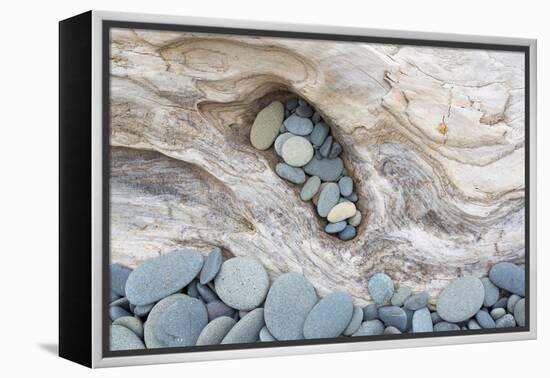 Washington, Olympic National Park. Beach Wood and Pebbles-Jaynes Gallery-Framed Premier Image Canvas