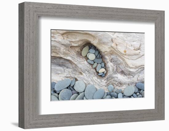 Washington, Olympic National Park. Beach Wood and Pebbles-Jaynes Gallery-Framed Photographic Print