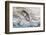 Washington, Olympic National Park. Beach Wood and Pebbles-Jaynes Gallery-Framed Photographic Print