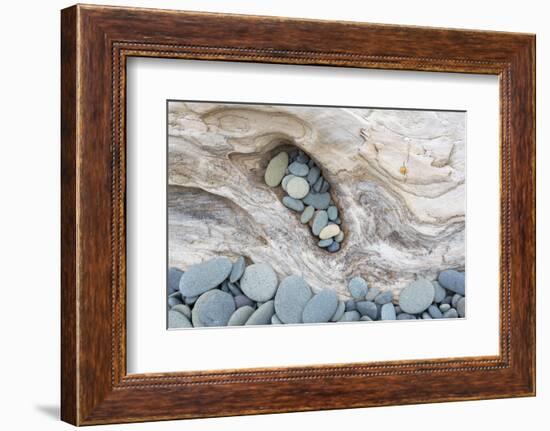 Washington, Olympic National Park. Beach Wood and Pebbles-Jaynes Gallery-Framed Photographic Print