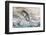 Washington, Olympic National Park. Beach Wood and Pebbles-Jaynes Gallery-Framed Photographic Print