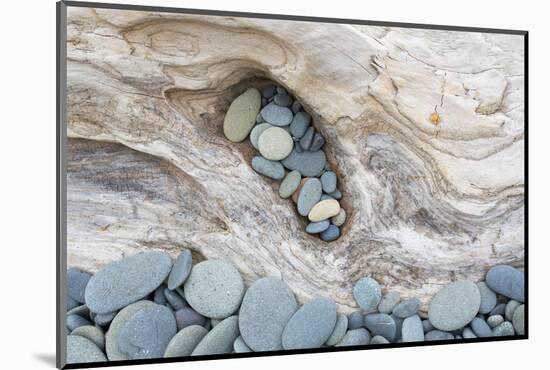 Washington, Olympic National Park. Beach Wood and Pebbles-Jaynes Gallery-Mounted Photographic Print
