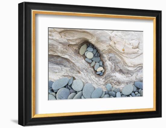 Washington, Olympic National Park. Beach Wood and Pebbles-Jaynes Gallery-Framed Photographic Print