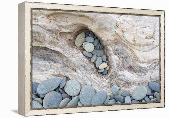 Washington, Olympic National Park. Beach Wood and Pebbles-Jaynes Gallery-Framed Premier Image Canvas