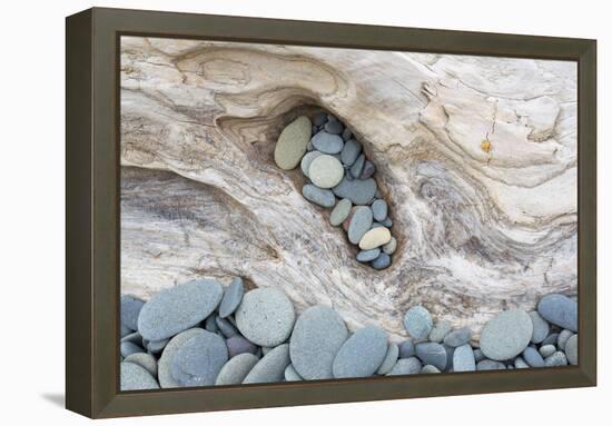 Washington, Olympic National Park. Beach Wood and Pebbles-Jaynes Gallery-Framed Premier Image Canvas