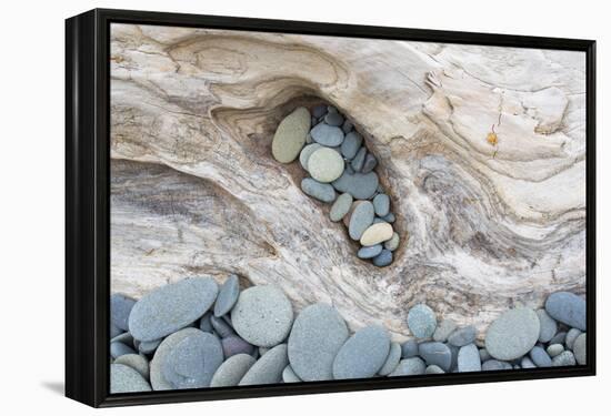 Washington, Olympic National Park. Beach Wood and Pebbles-Jaynes Gallery-Framed Premier Image Canvas