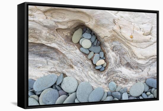 Washington, Olympic National Park. Beach Wood and Pebbles-Jaynes Gallery-Framed Premier Image Canvas