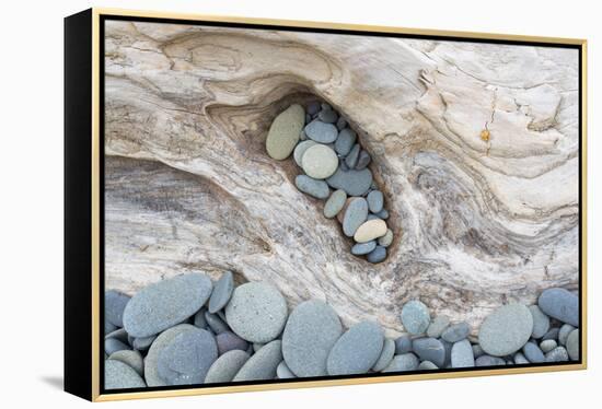 Washington, Olympic National Park. Beach Wood and Pebbles-Jaynes Gallery-Framed Premier Image Canvas