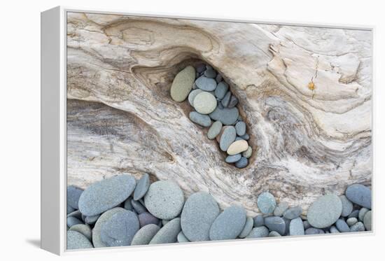 Washington, Olympic National Park. Beach Wood and Pebbles-Jaynes Gallery-Framed Premier Image Canvas