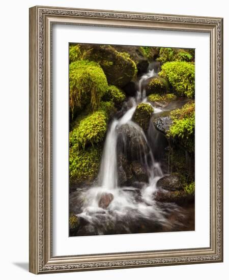 Washington, Olympic National Park, Creek in Sol Duc Valley-Ann Collins-Framed Photographic Print