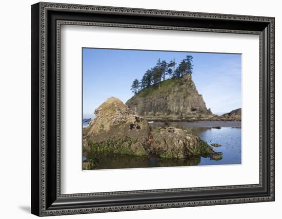 Washington, Olympic National Park, Second Beach, Ochre Sea Stars and Seastack-Jamie And Judy Wild-Framed Photographic Print