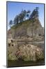 Washington, Olympic National Park, Second Beach, Ochre Sea Stars and Seastack-Jamie And Judy Wild-Mounted Photographic Print