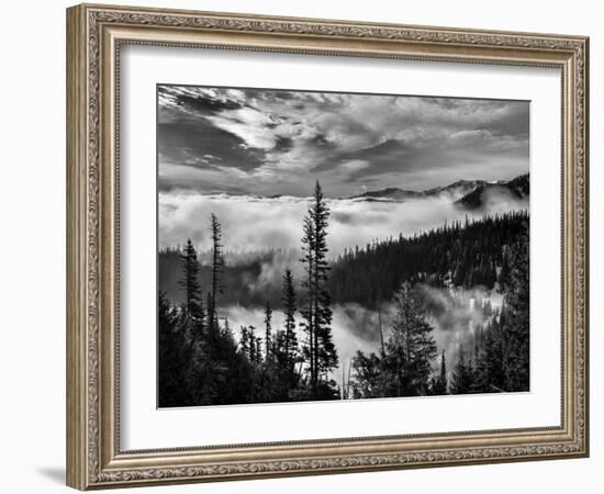 Washington, Olympic National Park. View Northeast from Road to Hurricane Ridge-Ann Collins-Framed Photographic Print