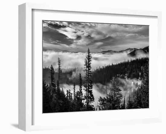 Washington, Olympic National Park. View Northeast from Road to Hurricane Ridge-Ann Collins-Framed Photographic Print