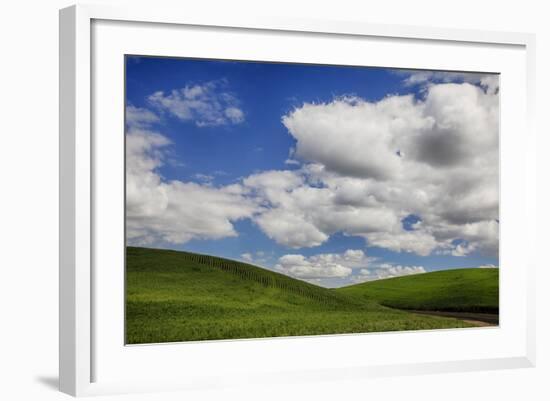 Washington, Palouse Country, Backroad Through the Green Fields of Washington-Terry Eggers-Framed Photographic Print