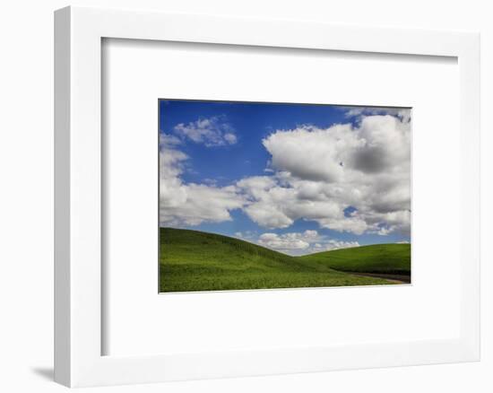 Washington, Palouse Country, Backroad Through the Green Fields of Washington-Terry Eggers-Framed Photographic Print