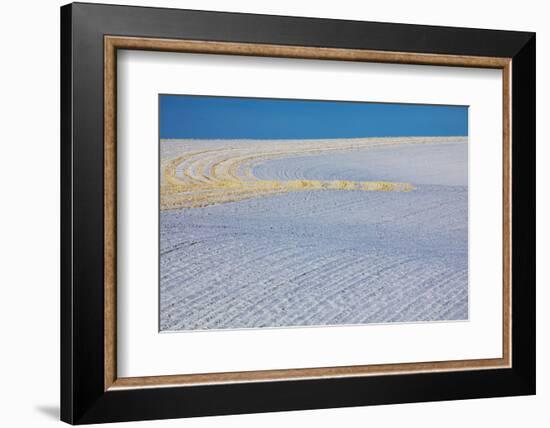 Washington, Palouse Country, Patterns in Snow Covered Wheat Fields-Terry Eggers-Framed Photographic Print