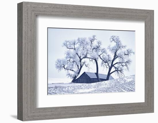 Washington, Palouse, Snow Covered Barn with Old Oak Tree-Terry Eggers-Framed Photographic Print