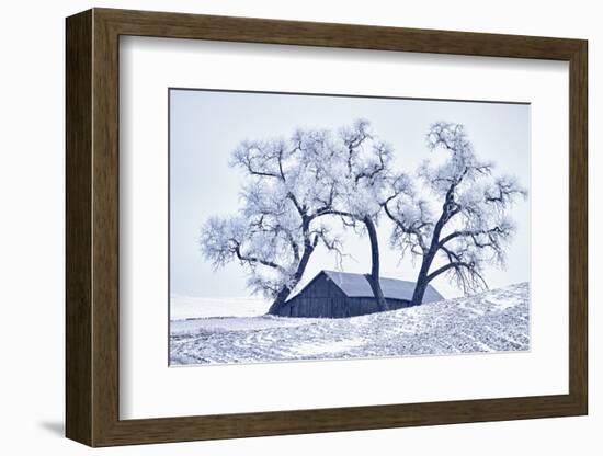 Washington, Palouse, Snow Covered Barn with Old Oak Tree-Terry Eggers-Framed Photographic Print