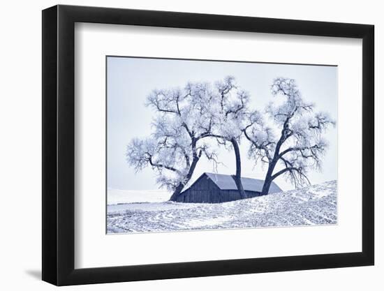 Washington, Palouse, Snow Covered Barn with Old Oak Tree-Terry Eggers-Framed Photographic Print