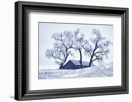 Washington, Palouse, Snow Covered Barn with Old Oak Tree-Terry Eggers-Framed Photographic Print