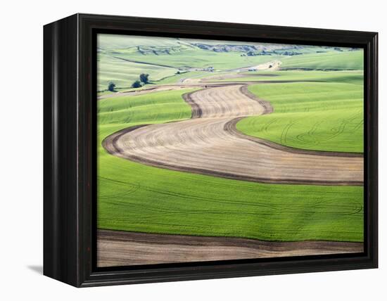 Washington, Palouse, Whitman County. Aerial of Palouse Region-Julie Eggers-Framed Premier Image Canvas