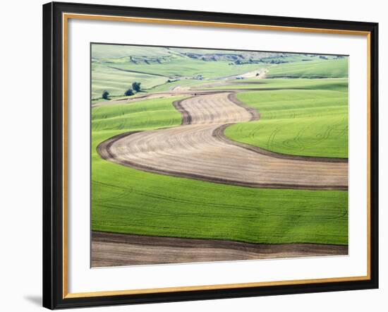 Washington, Palouse, Whitman County. Aerial of Palouse Region-Julie Eggers-Framed Photographic Print