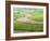 Washington, Palouse, Whitman County. Aerial of Palouse Region-Julie Eggers-Framed Photographic Print