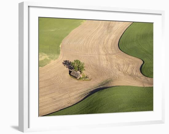 Washington, Palouse, Whitman County. Aerial of Palouse Region-Julie Eggers-Framed Photographic Print