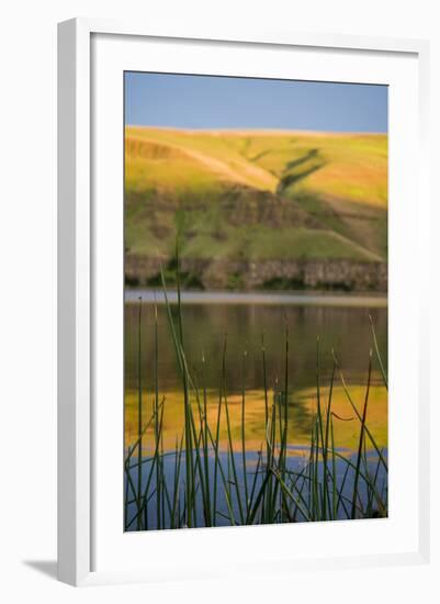 Washington, Palouse, Whitman County, Snake River Expedition-Alison Jones-Framed Photographic Print