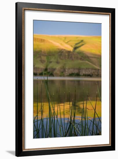 Washington, Palouse, Whitman County, Snake River Expedition-Alison Jones-Framed Photographic Print