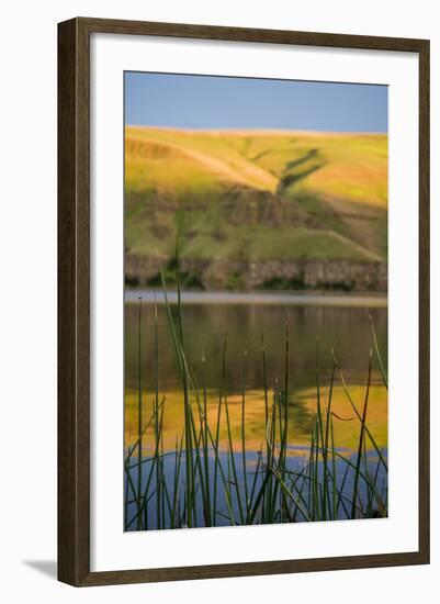 Washington, Palouse, Whitman County, Snake River Expedition-Alison Jones-Framed Photographic Print