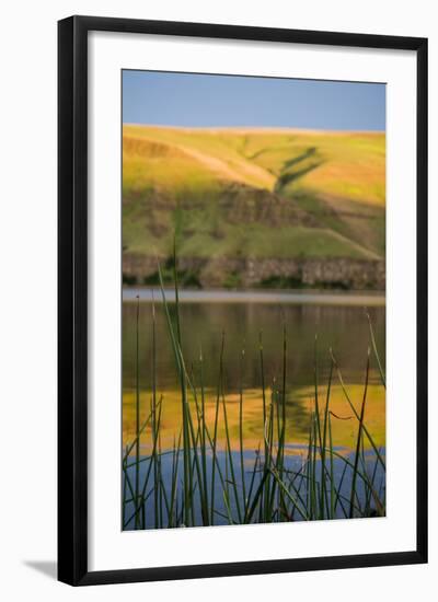 Washington, Palouse, Whitman County, Snake River Expedition-Alison Jones-Framed Photographic Print