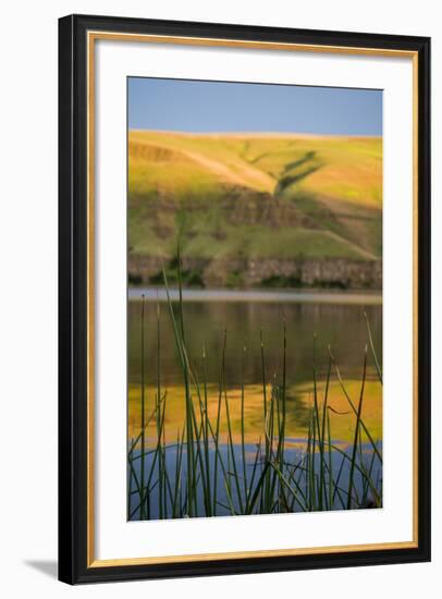 Washington, Palouse, Whitman County, Snake River Expedition-Alison Jones-Framed Photographic Print