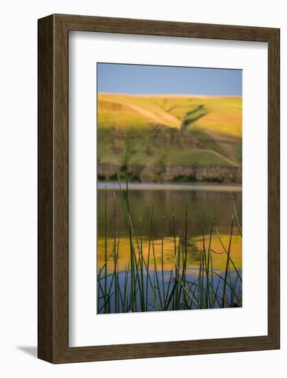 Washington, Palouse, Whitman County, Snake River Expedition-Alison Jones-Framed Photographic Print