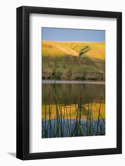 Washington, Palouse, Whitman County, Snake River Expedition-Alison Jones-Framed Photographic Print