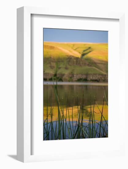 Washington, Palouse, Whitman County, Snake River Expedition-Alison Jones-Framed Photographic Print