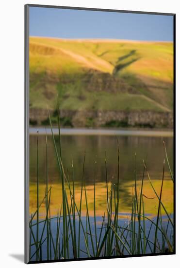 Washington, Palouse, Whitman County, Snake River Expedition-Alison Jones-Mounted Photographic Print