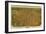 Washington - Panoramic Map of Spokane-Lantern Press-Framed Art Print