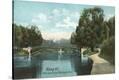 Stretched Canvas Print