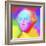 Washington Pop Art-Howie Green-Framed Giclee Print