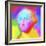 Washington Pop Art-Howie Green-Framed Giclee Print